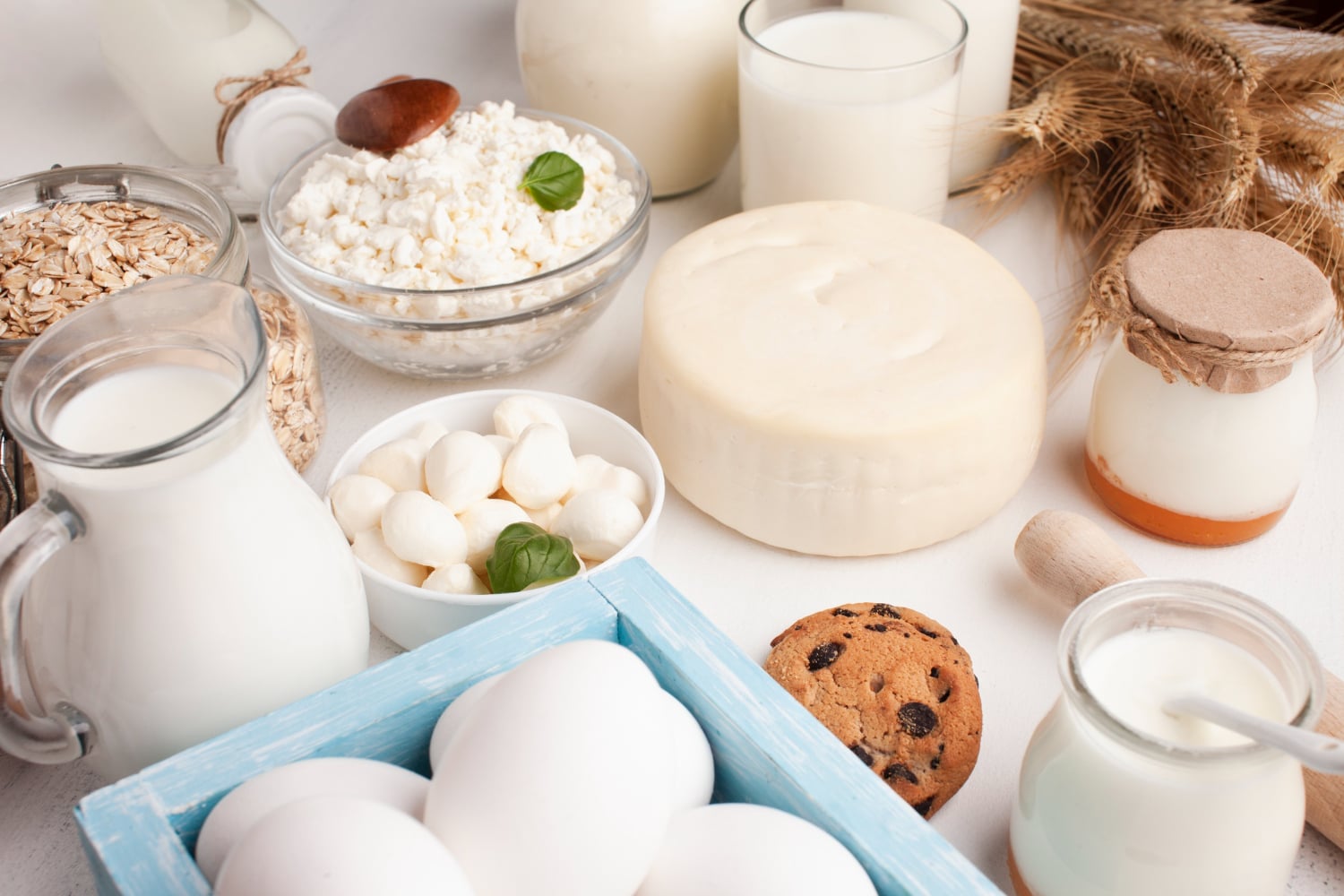 Dairy and Dairy-based Products