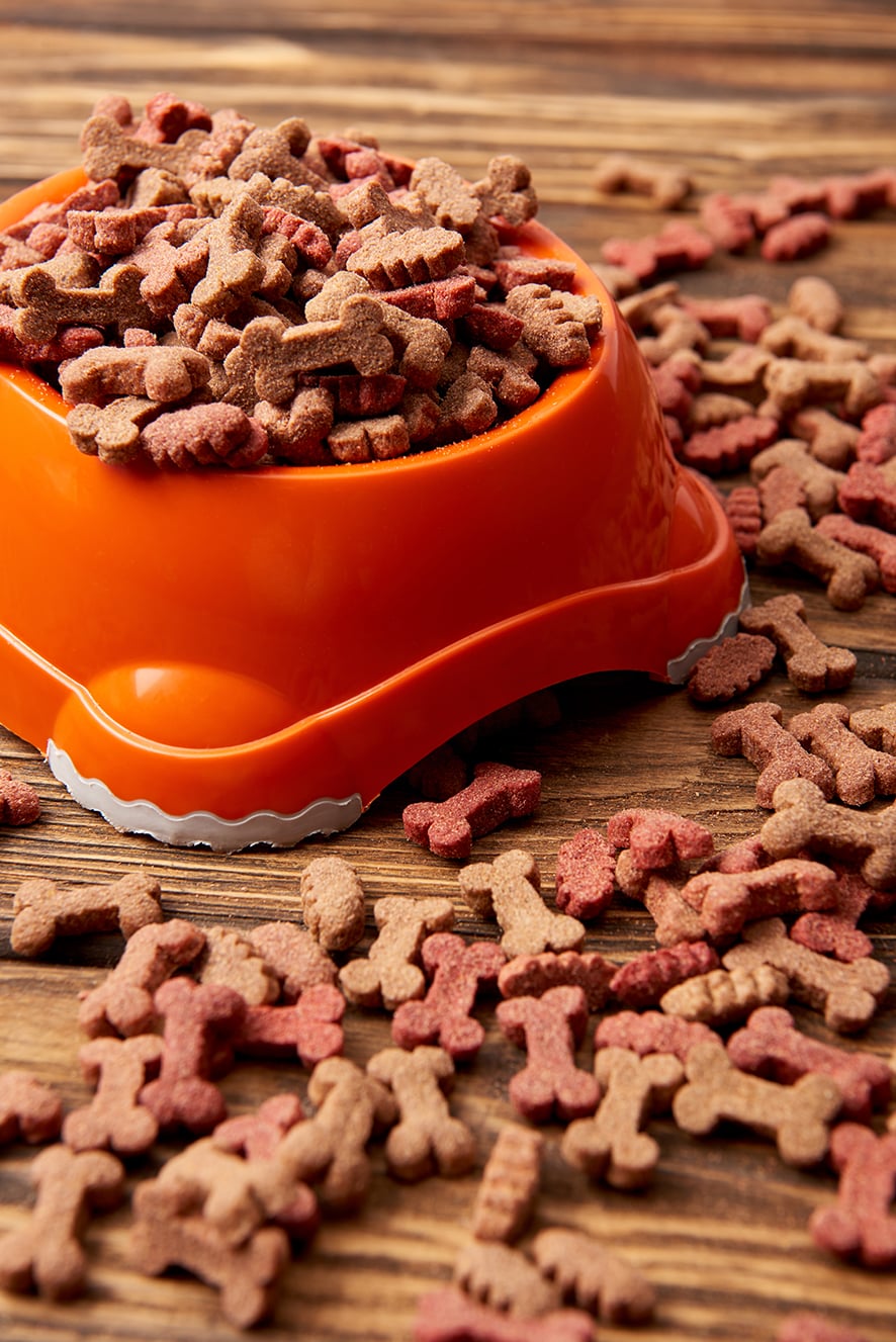 Pet Food